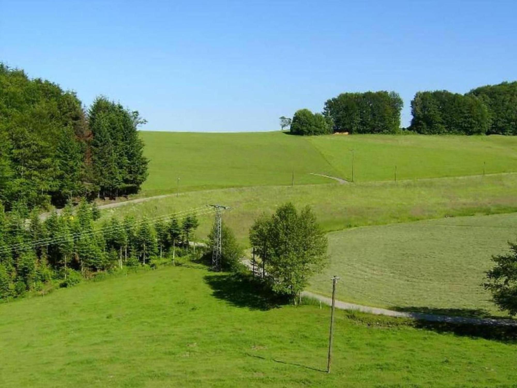 Lovely Apartment In The Black Forest Villingen-Schwenningen Exterior photo