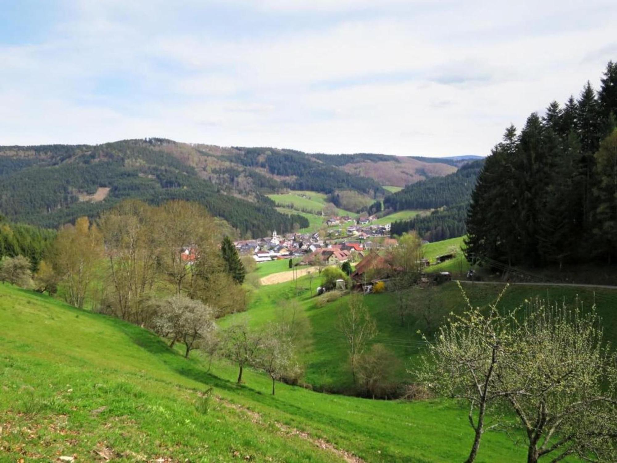 Lovely Apartment In The Black Forest Villingen-Schwenningen Exterior photo